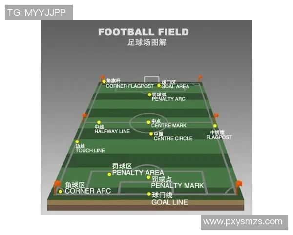 科斯塔的足球之路：从青训到国际赛场的辉煌历程与成就