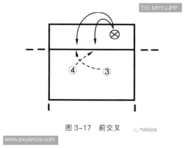 重庆篮球队快攻战术解析与战绩影响深度剖析